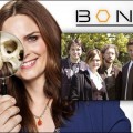 Bones anne - 12 mois - 12 saisons!