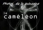 2012-03-02 00-03-00