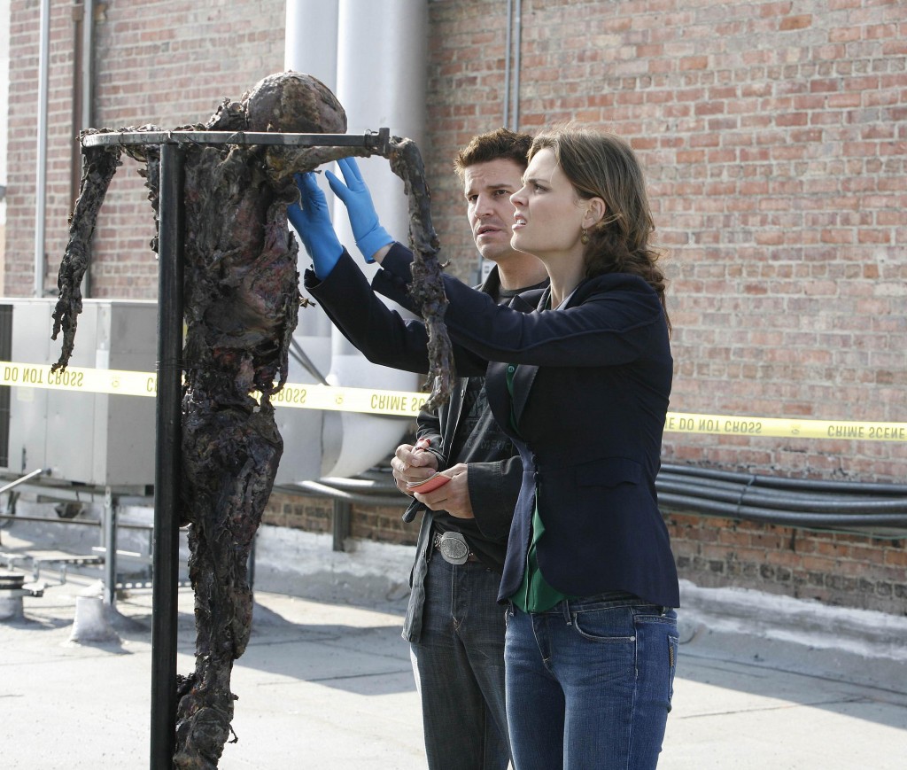 Temperance Brennan (Emily Deschanel) et Seeley Booth (David Boreanaz) enquêtent sur le corps calciné