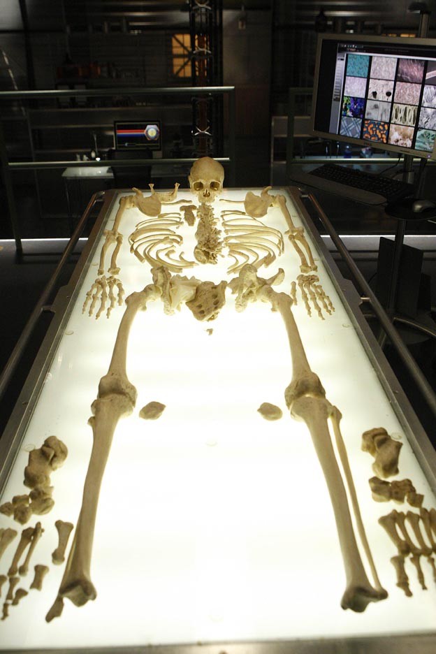 Le squelette sur la table