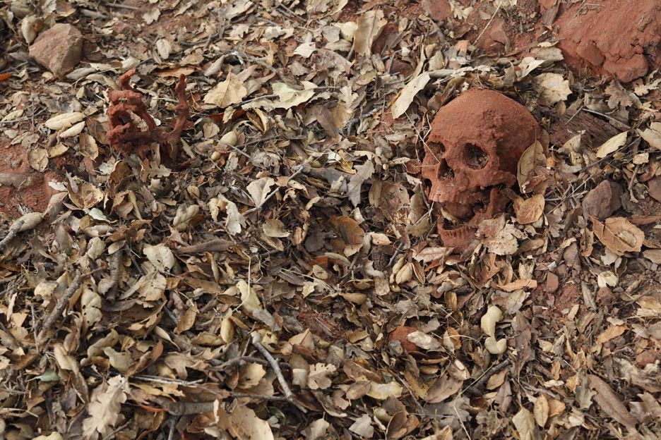 Le crâne dans les feuilles
