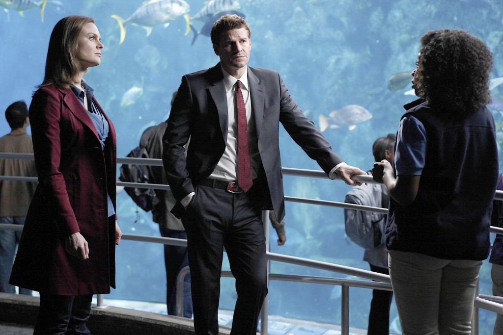 Temperance Brennan (Emily Deschanel) et Seeley Booth (David Boreanaz) à l'aquarium